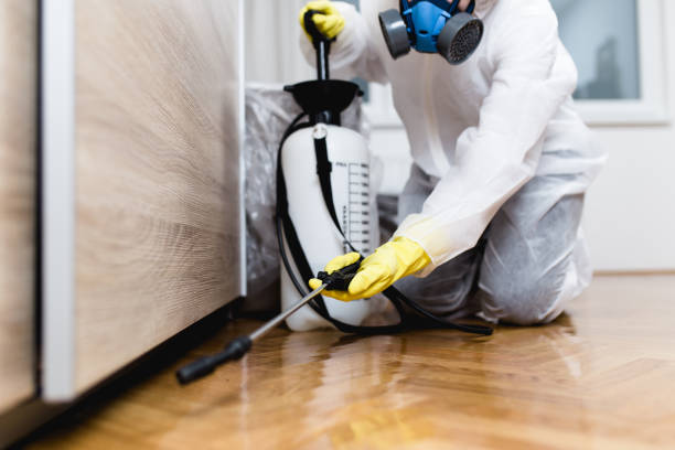 Best Mosquito Control Services  in Broxton, GA
