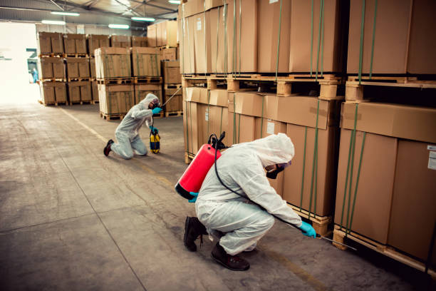 Best Bed Bug Extermination  in Broxton, GA