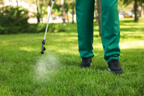 Best Termite Control Services  in Broxton, GA