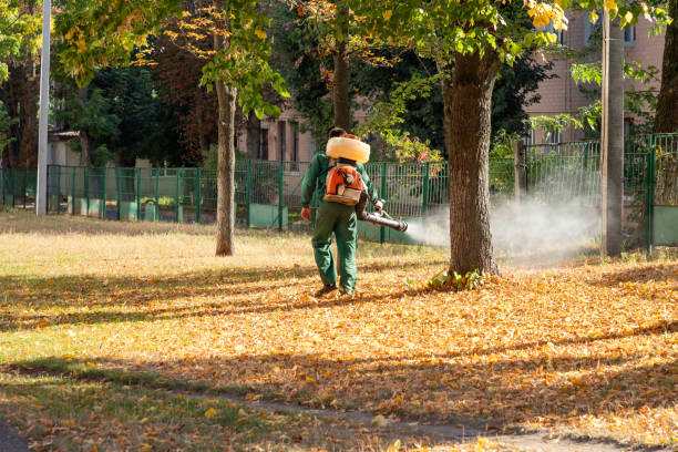 Best Flea Control Services  in Broxton, GA
