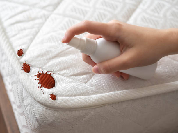Best Residential Pest Control  in Broxton, GA