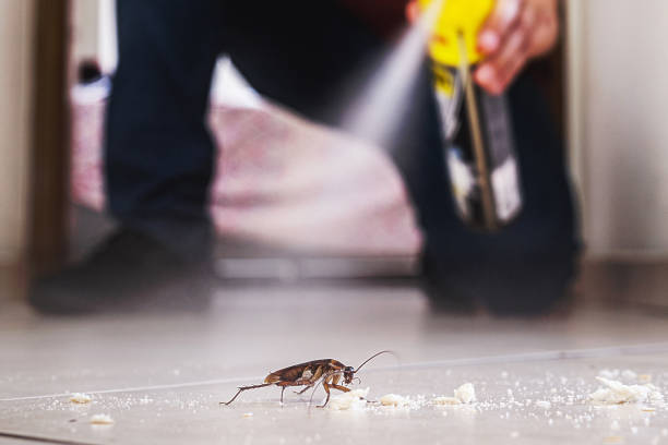 Trusted Broxton, GA Pest Control Experts